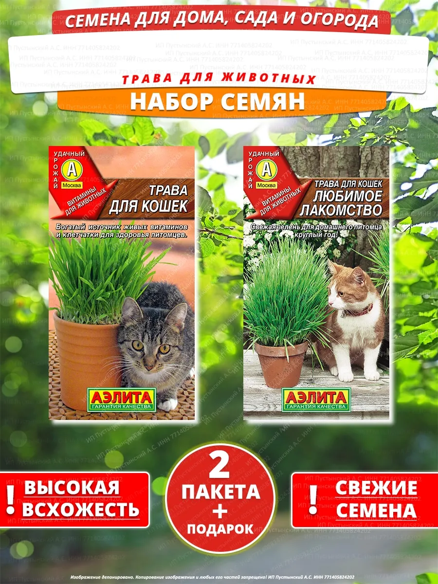 Семена трава для животных для дома сада посадки
