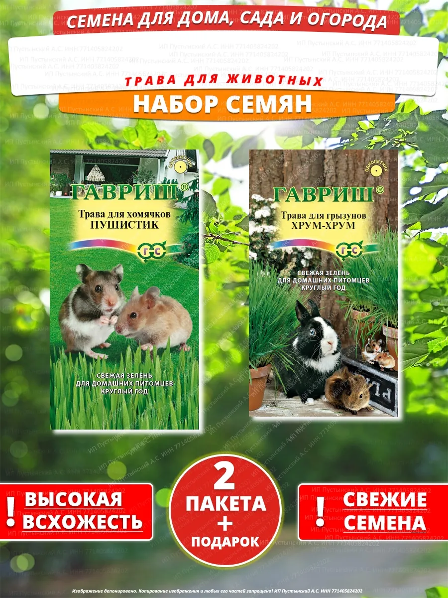 Семена трава для животных для дома сада посадки
