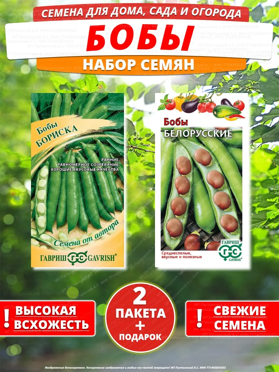 Семена бобы для дома сада посадки