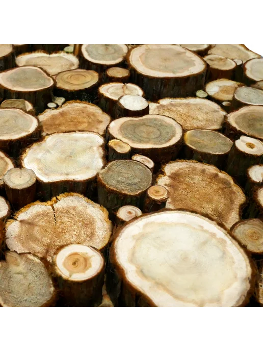 LK Панно из спилов можжевельника 400х400мм 3Д, 400x400 мм, фото 4